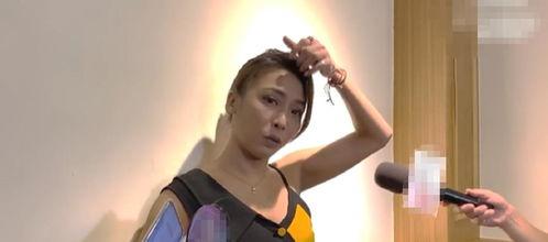 网红大秋千 明星黑料社 吃瓜大赛,吃瓜大赛，揭秘娱乐圈幕后风云